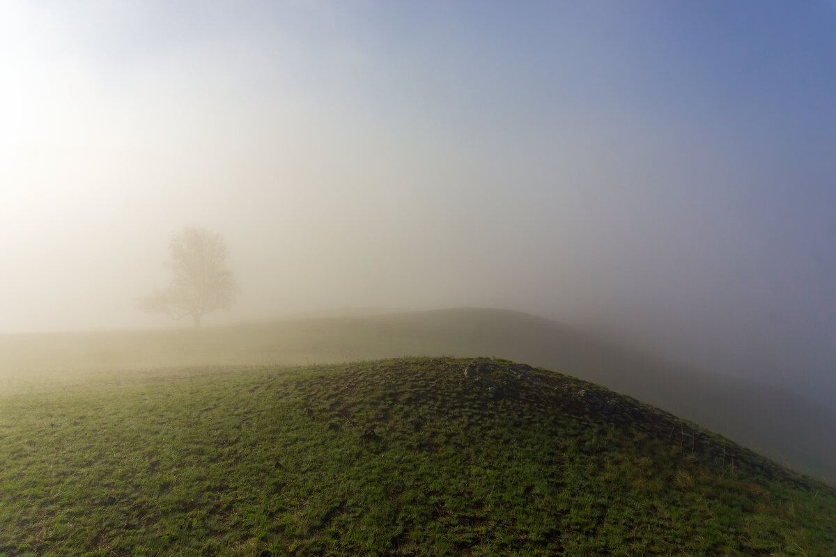 Минимализм тумана - Максимка 