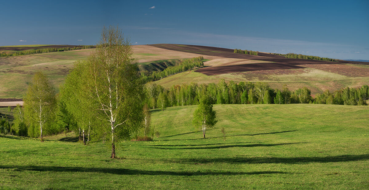 * - Александр Иванов
