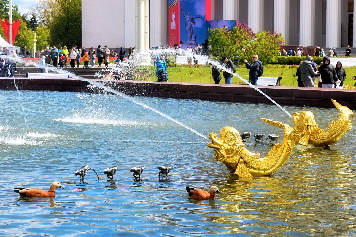 Дружба с золотыми рыбками! - Татьяна Помогалова