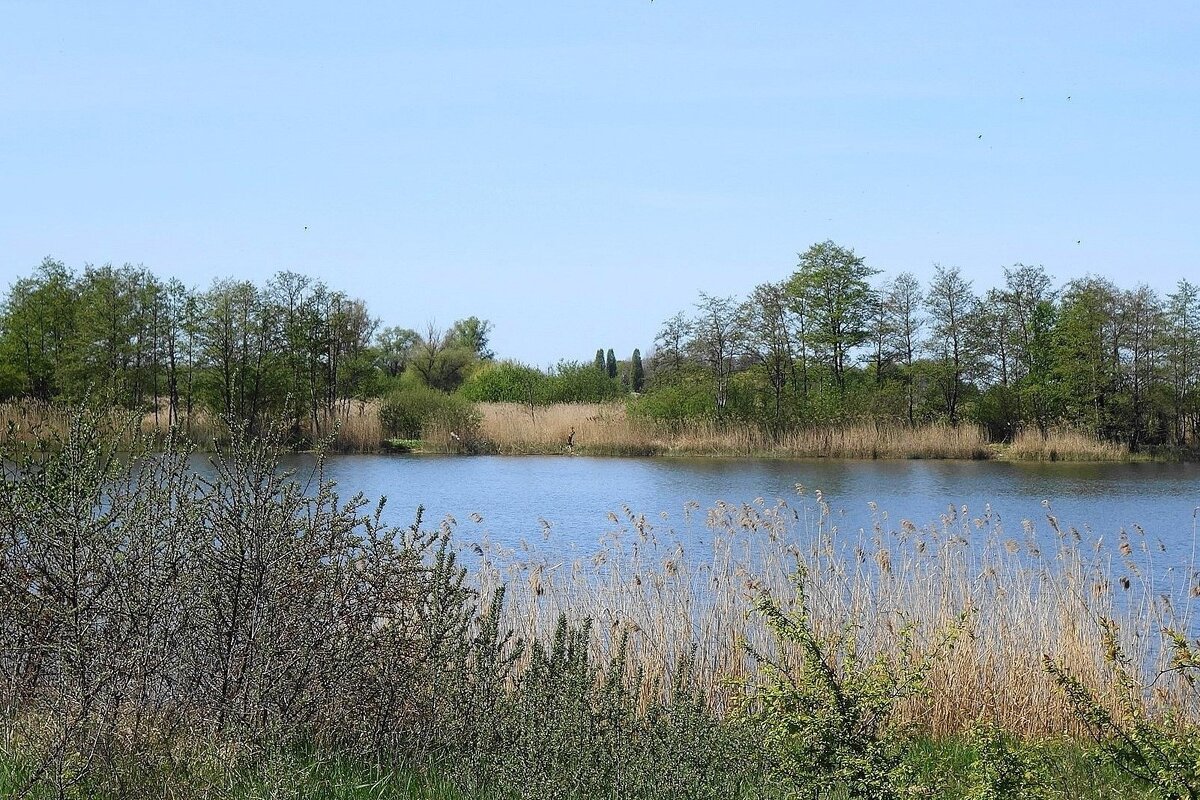 Весенний пейзаж - Рита Симонова Весенний пейзаж - Рита Симонова