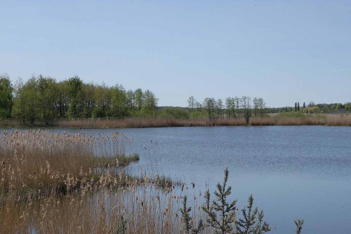 Весенний пейзаж - Рита Симонова