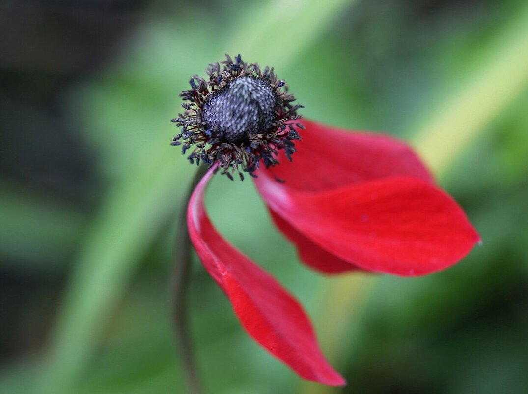 Мгновение - ZNatasha -