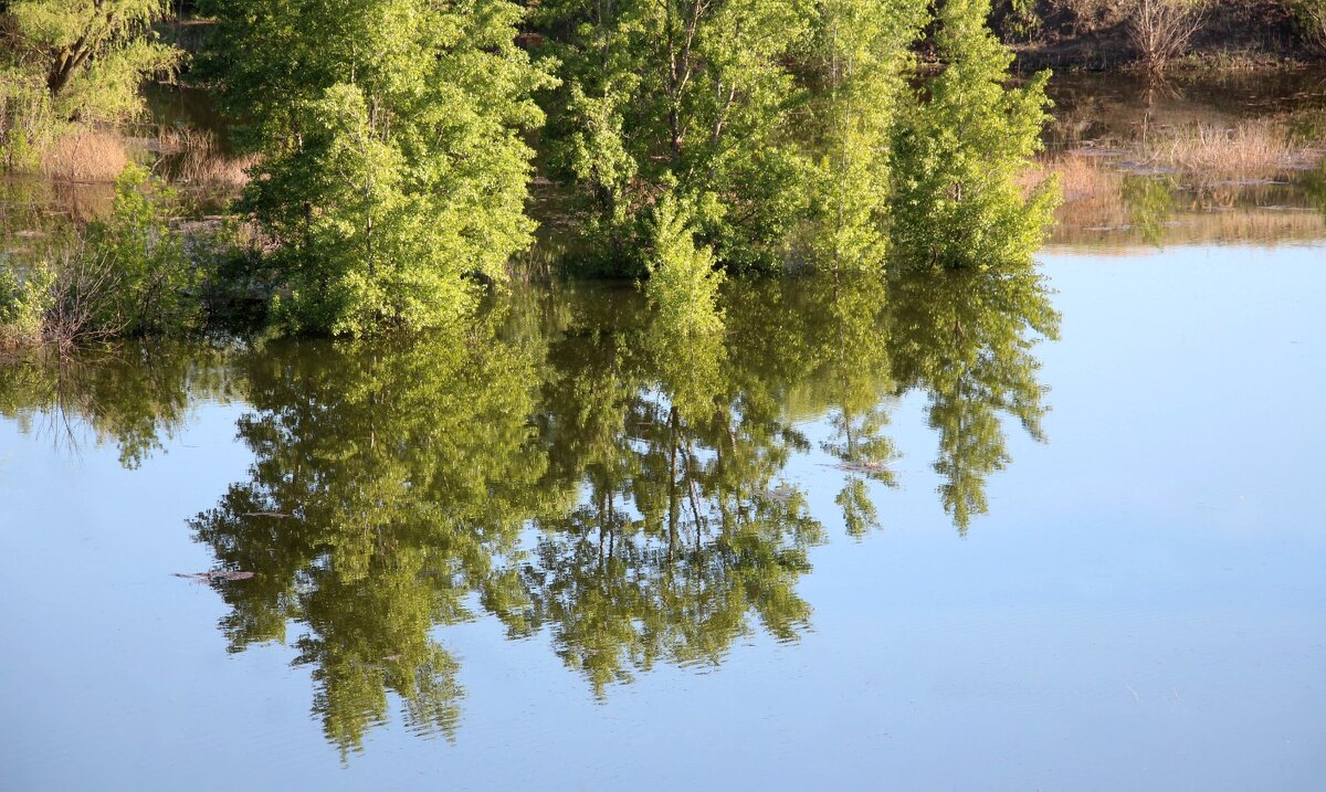 Отражение - Олегъ Петрович