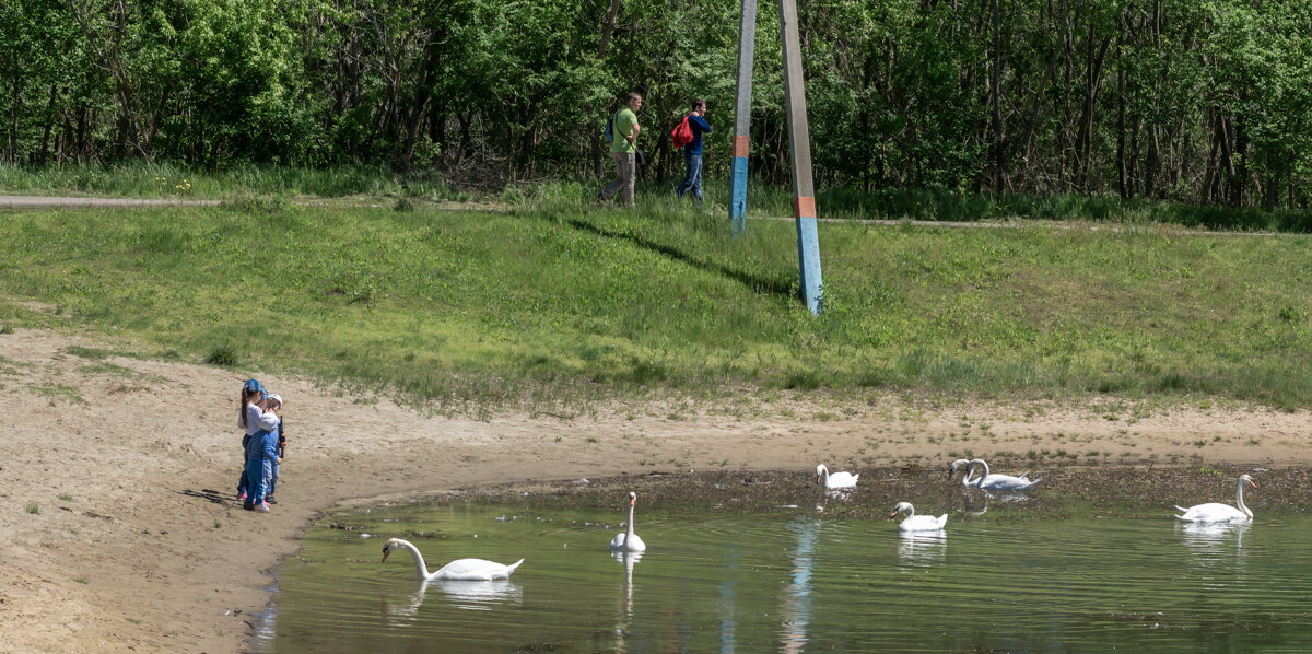 На озере - Игорь Сикорский На озере - Игорь Сикорский