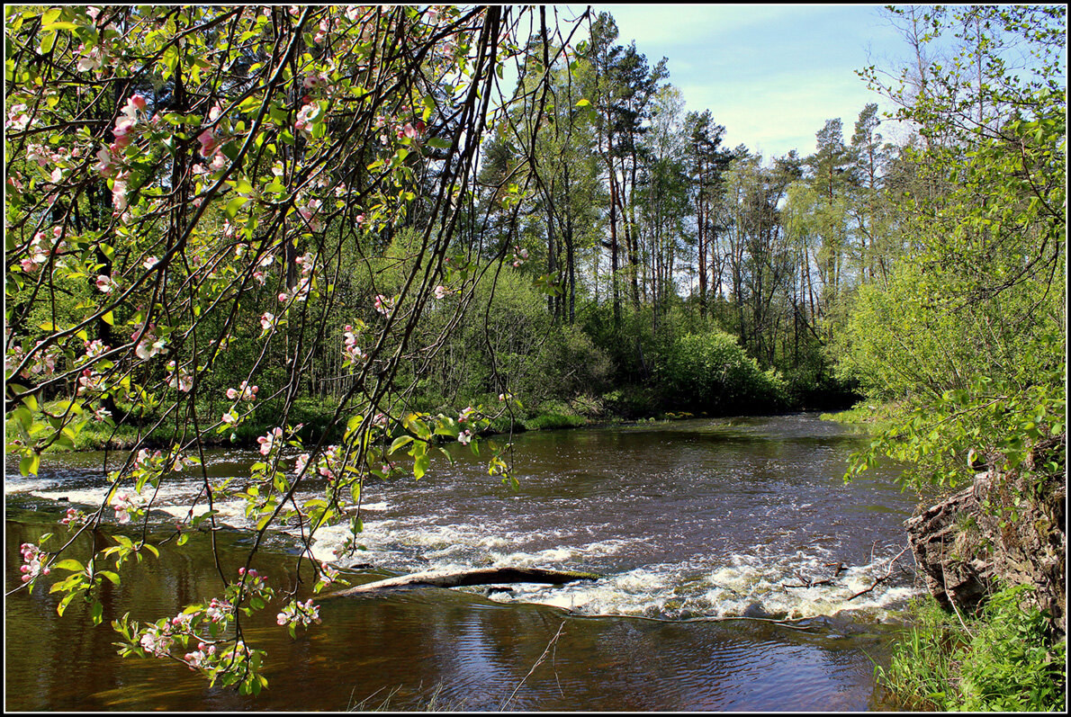 Весна-май - Aleksandr Gal