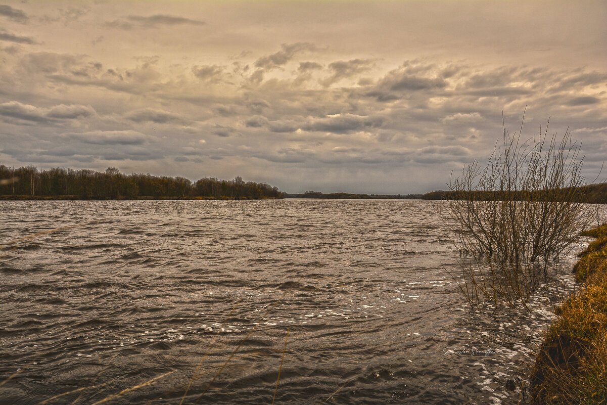хххххх - סּﮗRuslan HAIBIKE Sevastyanovסּﮗסּ
