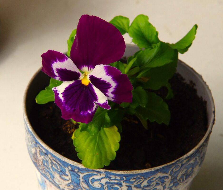 Лучше без дворников ! - Юрий Куликов