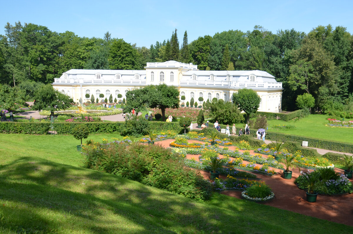 Большая Оранжерея - Сергей М 