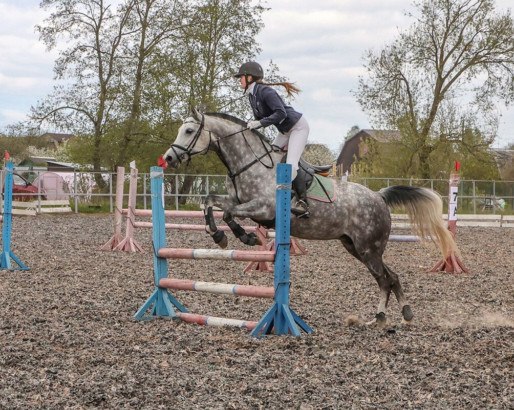 Конкур - Анатолий Шумилин