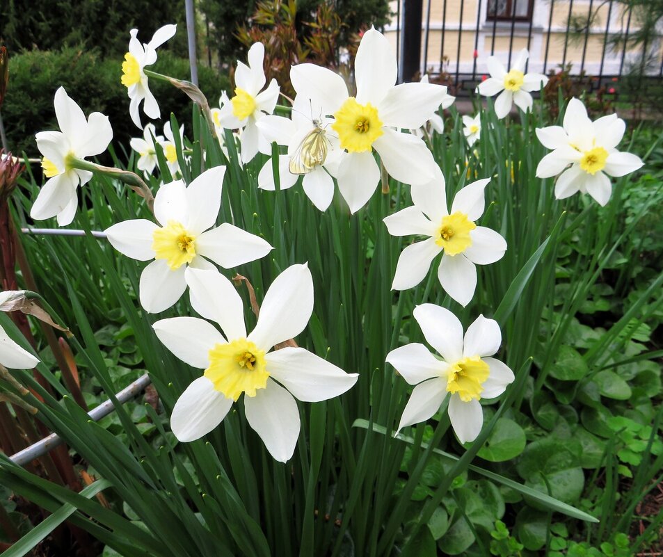 *** - Лариса С.