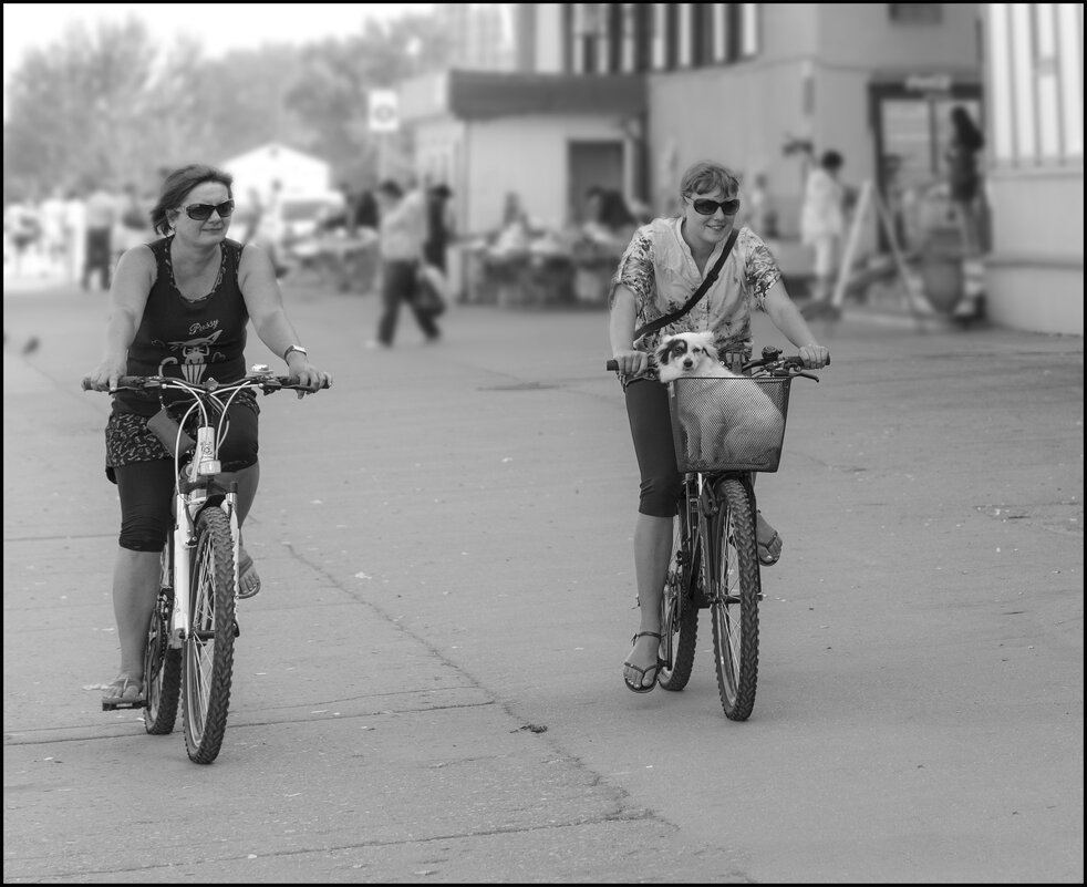 Семья - Александр Тарноградский Семья - Александр Тарноградский