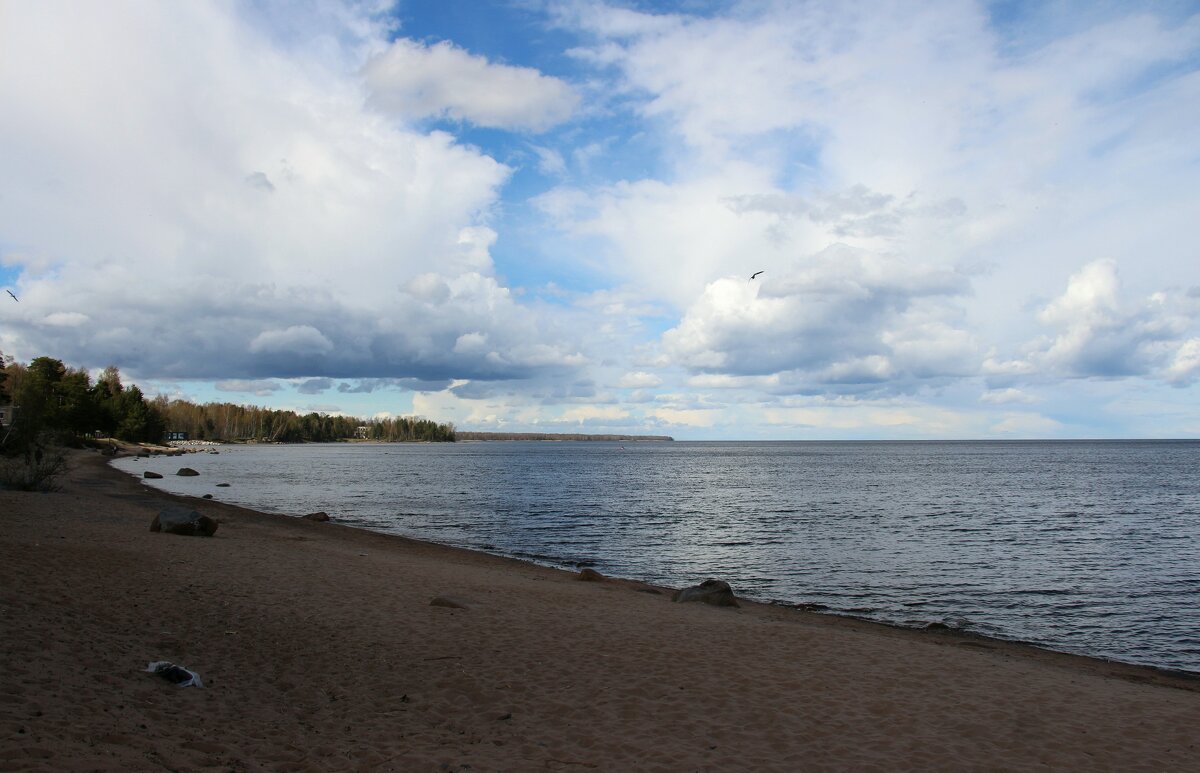 Ладожское Озеро - Наталья Герасимова Ладожское Озеро - Наталья Герасимова