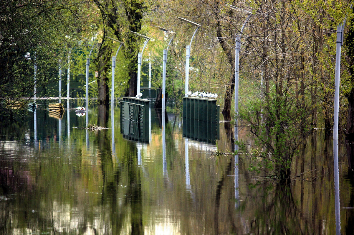 Весений паводок - Сергей Кочнев