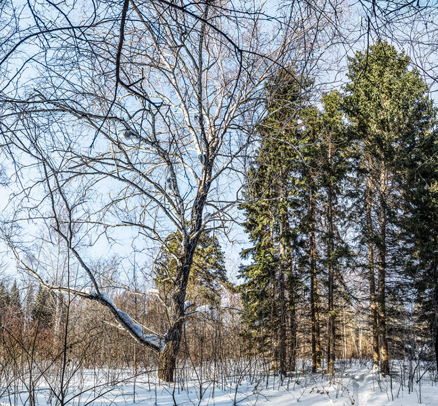 Пейзаж - SanSan 