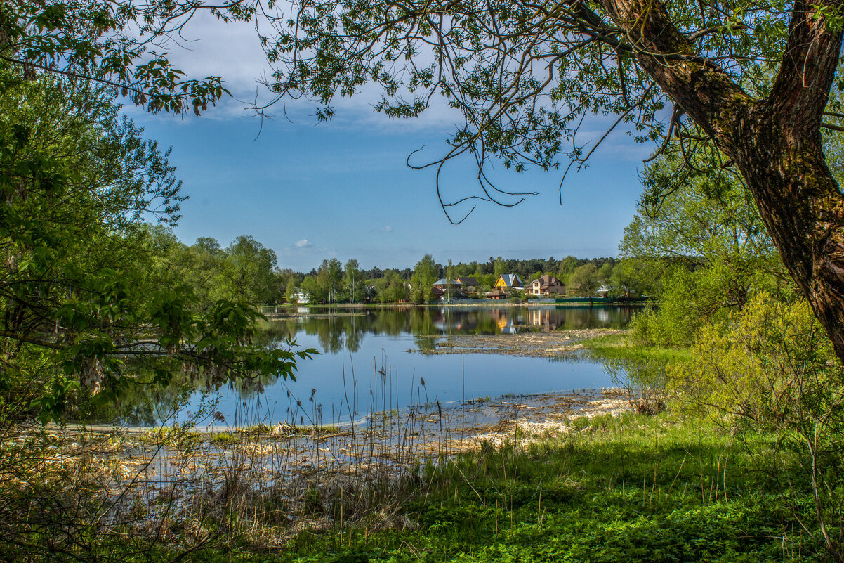 Утопая в зелени. - Михаил "Skipper"