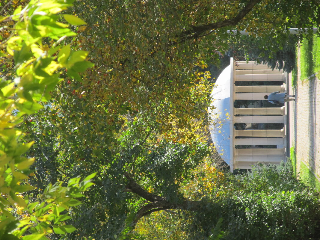 Екатеринбург - Елена Шаламова