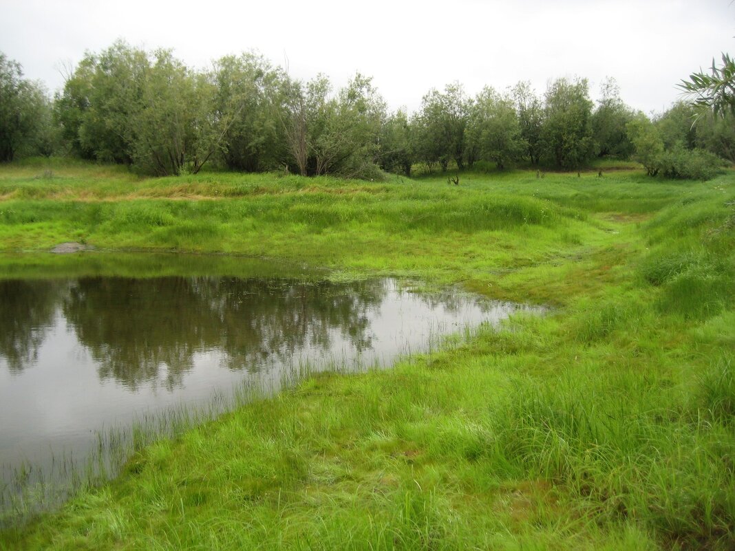 Хмурый день - Anna Ivanova Хмурый день - Anna Ivanova