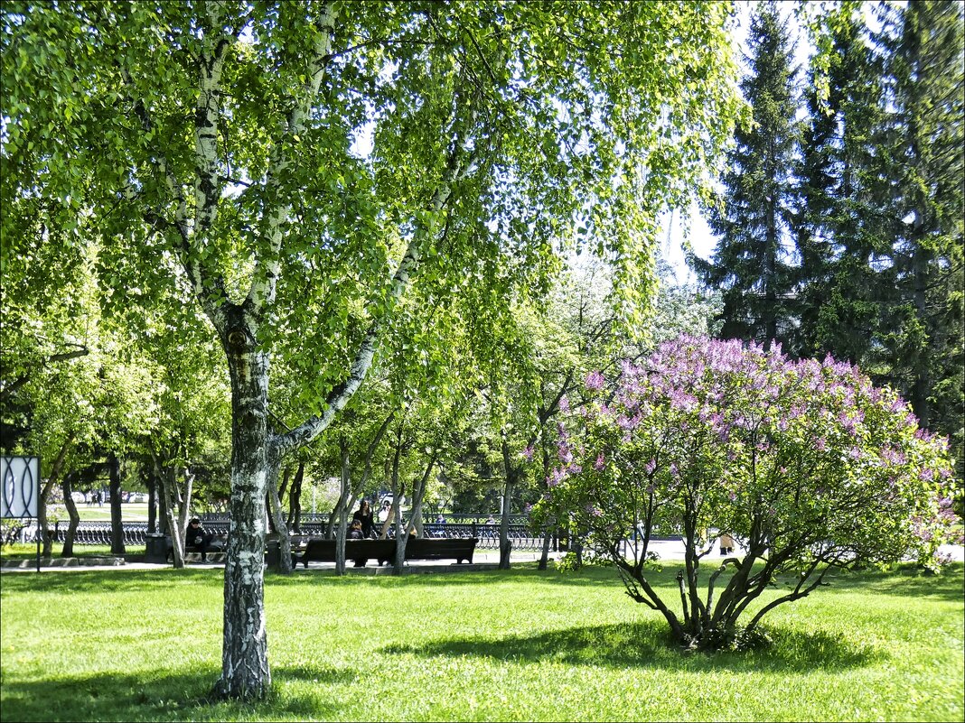 Весна в городе, май - Валентина * Весна в городе, май - Валентина *