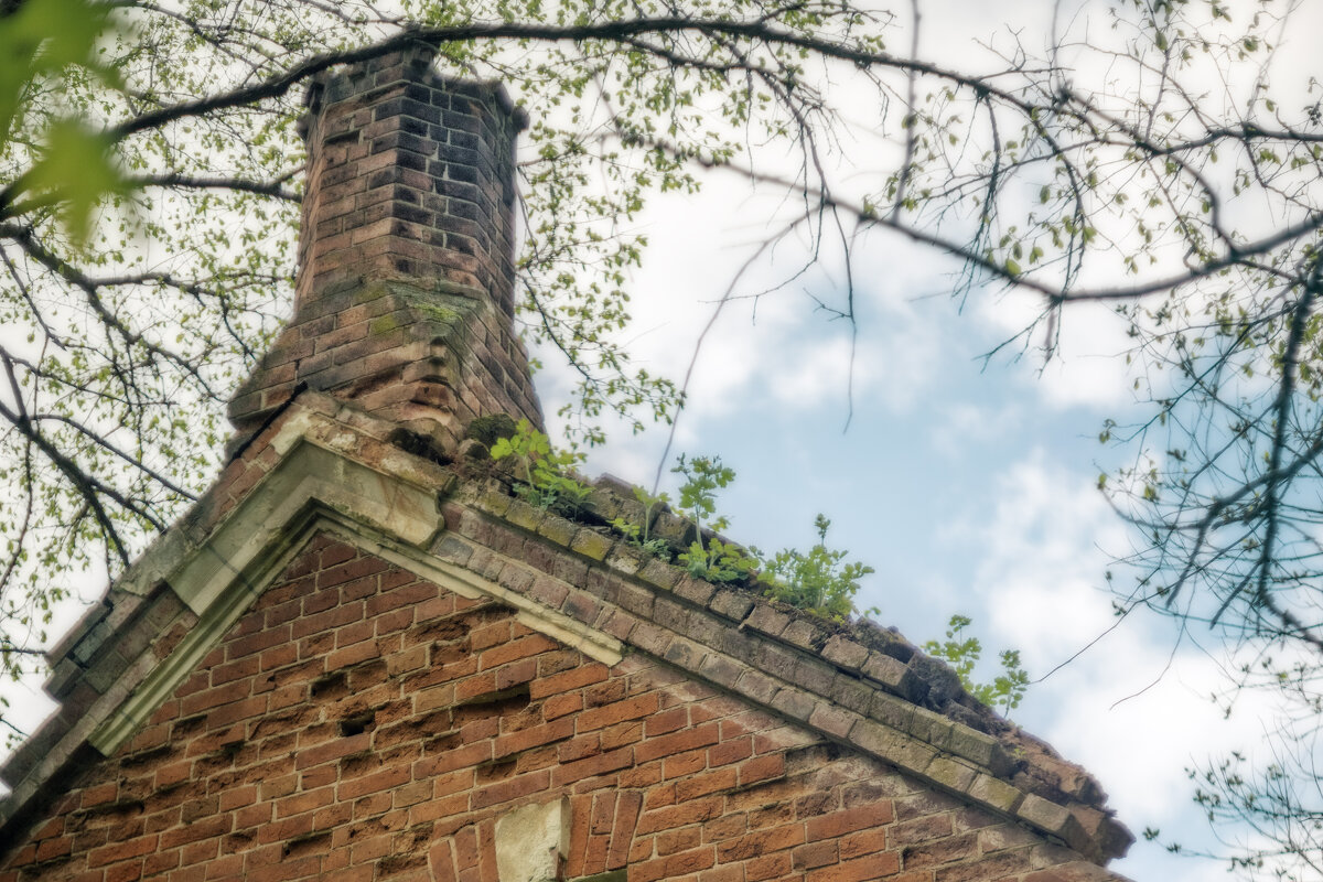 Труба - sorovey Sol