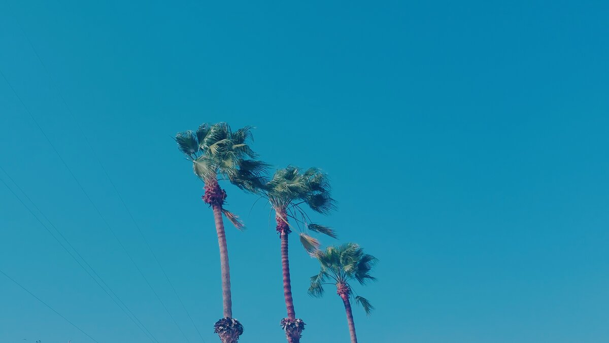 13  ОПЕН (12) - OPEN WAYS ALL