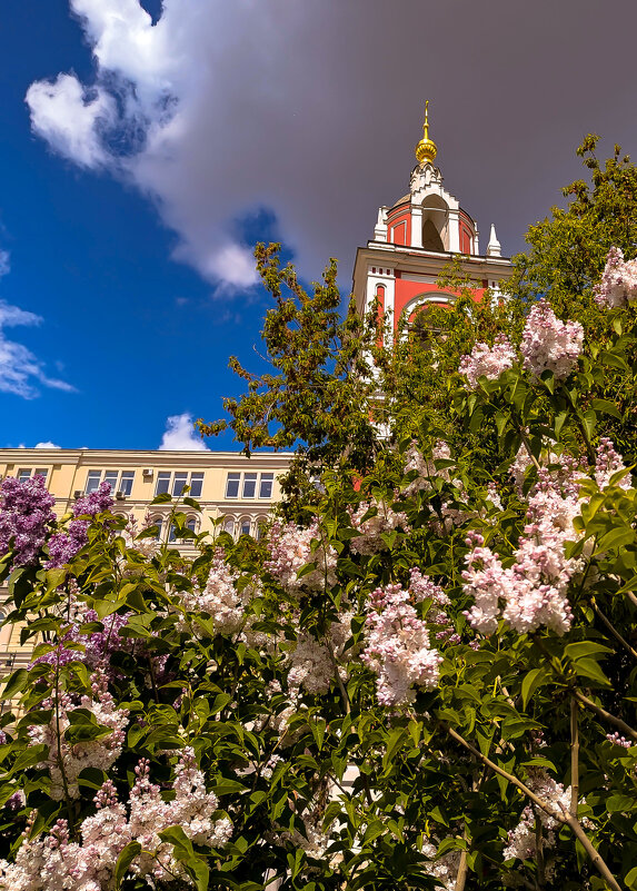 в сиреневом цвету - Наталья Крюкова