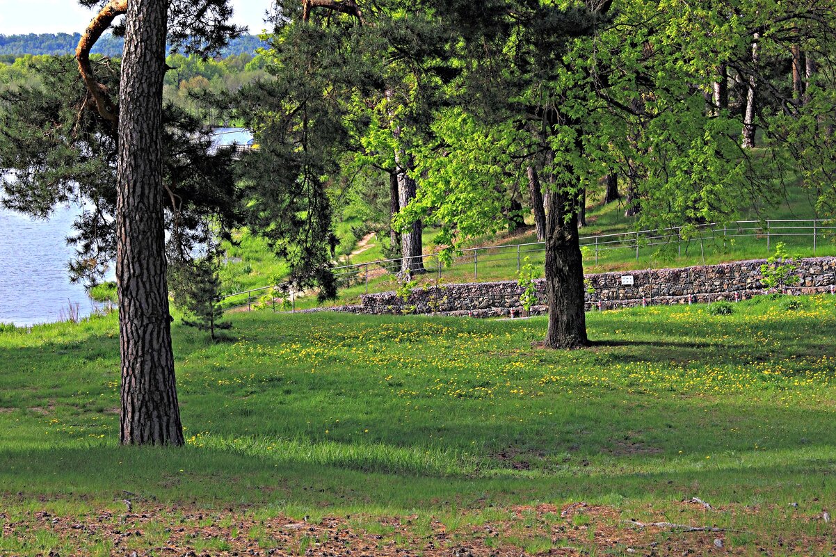 Результат благоустройства прилегающей к озеру территории - Евгений Корьевщиков Результат благоустройства прилегающей к озеру территории - Евгений Корьевщиков