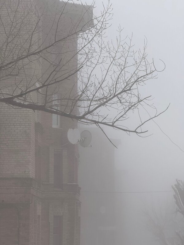 *** - Яна Горбунова