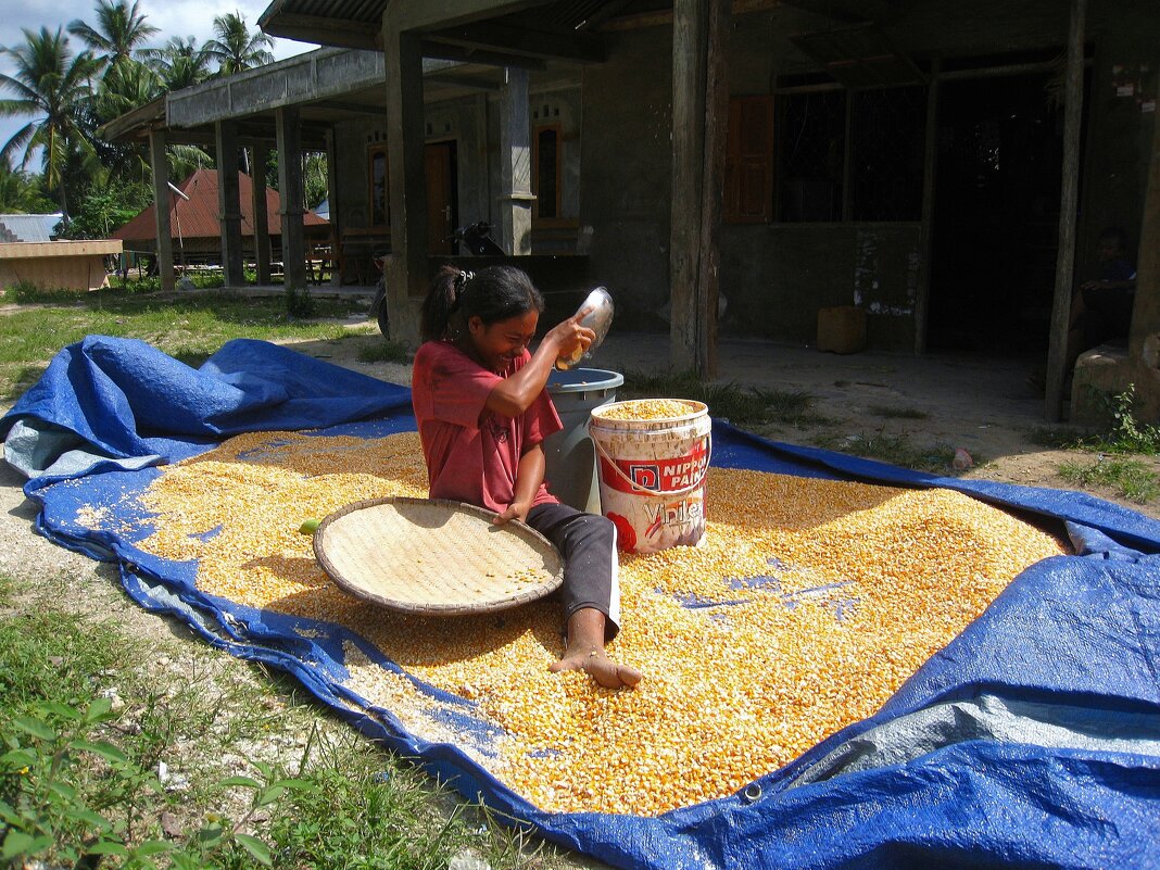 Девушка с кукурузой (3 часть). - unix (Илья Утропов)