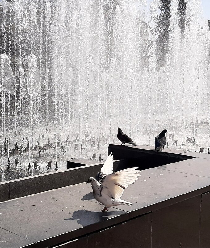 У фонтана - Наталья Герасимова У фонтана - Наталья Герасимова