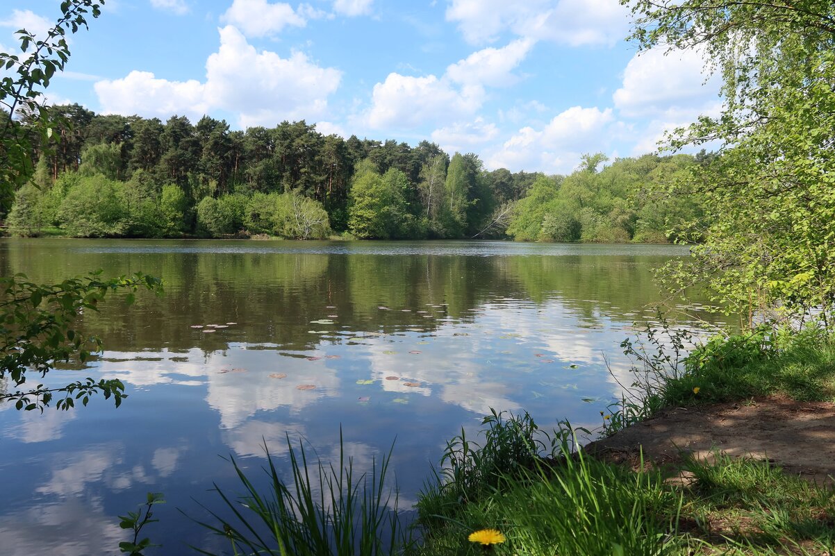 Лесные озера - Дмитрий И_ Лесные озера - Дмитрий И_