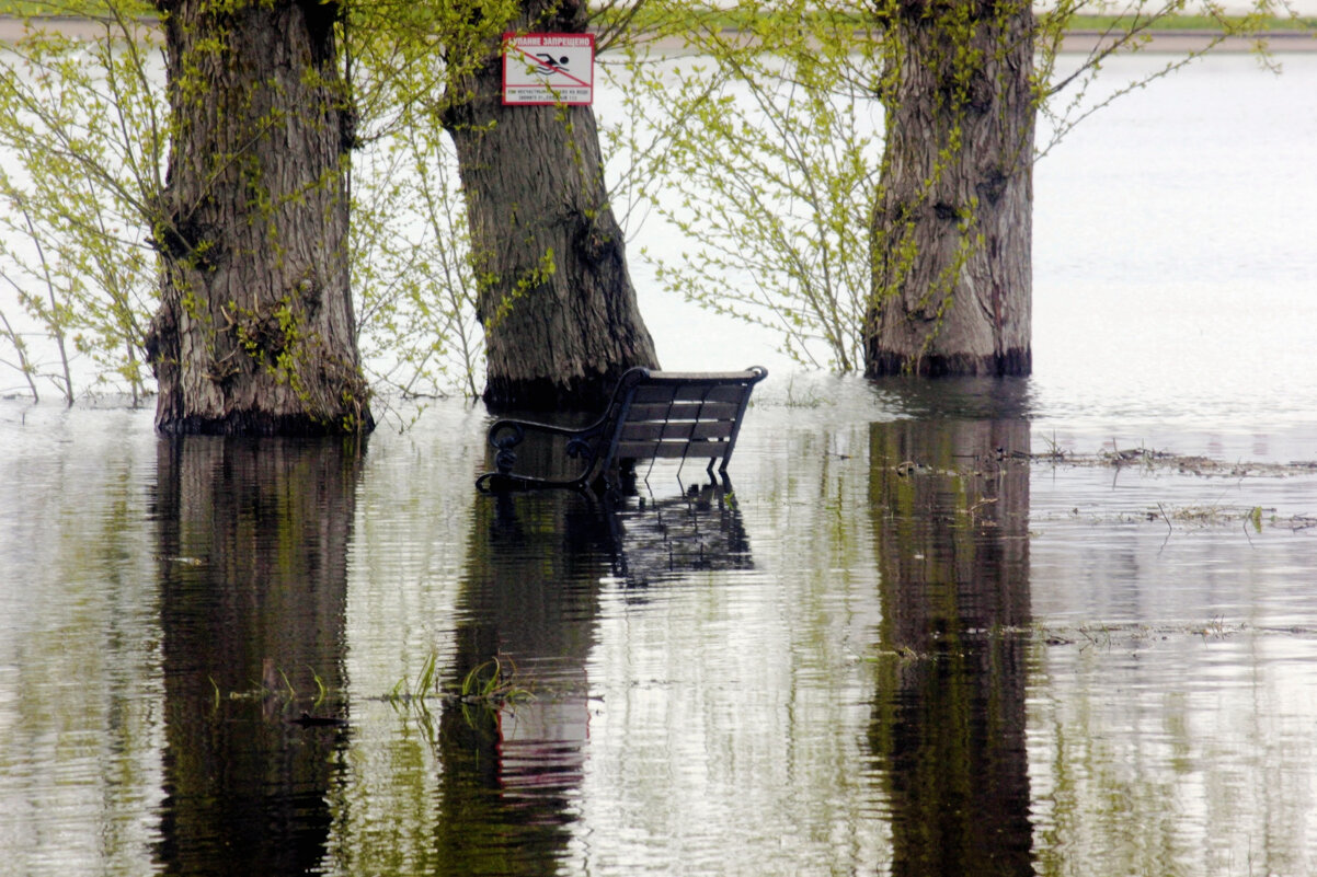 Затопило - Сергей Кочнев