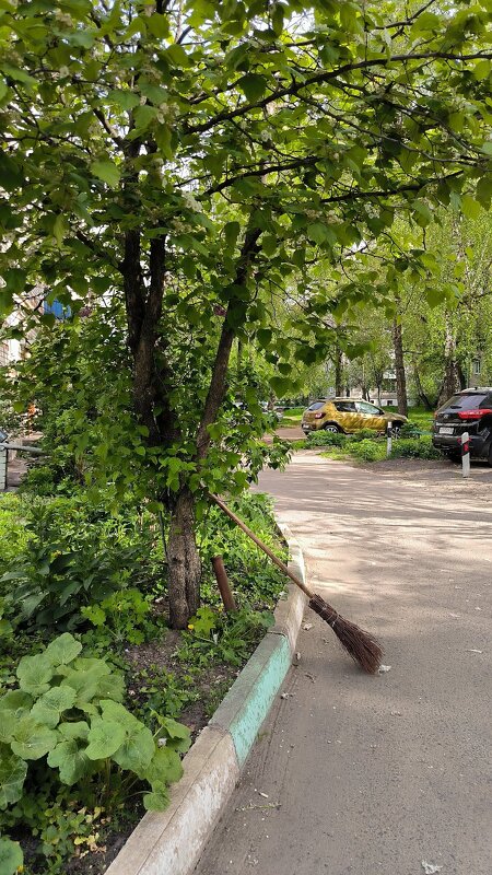 Транспортное средство вне зоны парковки. - Ольга 