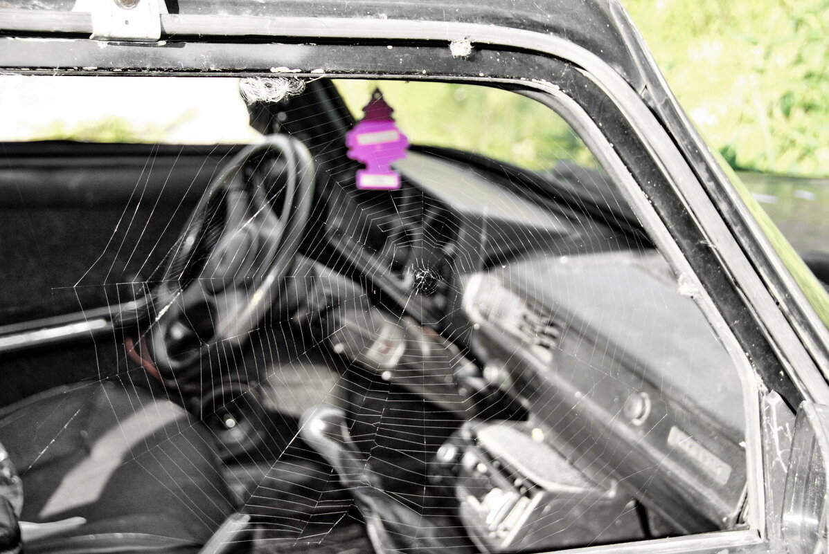 ЗАРОСЛО ТРАВОЙ МЕСТО НАШИХ ВСТРЕЧ - Юрий Вовк