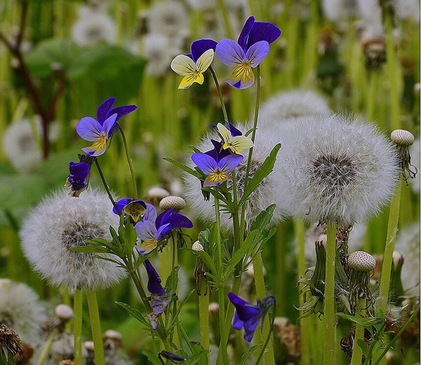 ....эстафета... - Aleksandr Gal