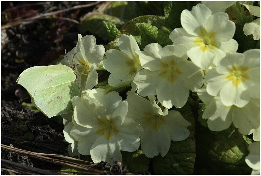 ...как прекрасен этот МИР - Aleksandr Gal ...как прекрасен этот МИР - Aleksandr Gal