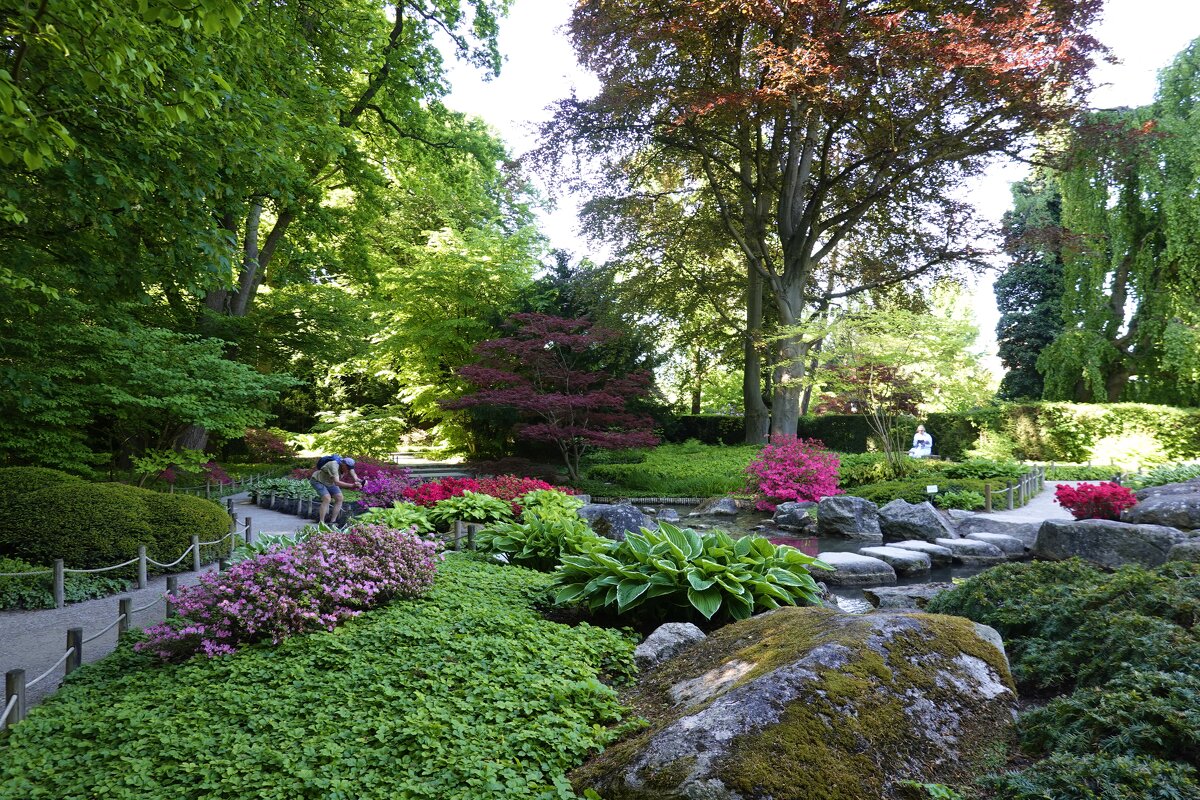Японский садик... - Галина Японский садик... - Галина