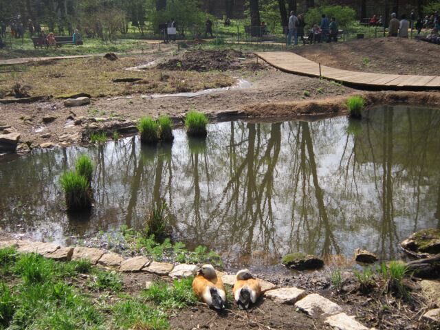 Отражение - Дмитрий Никитин