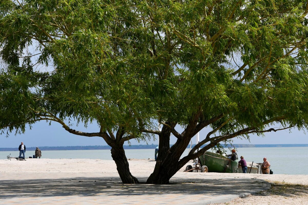 Морской пейзаж - Татьяна Евдокимова Морской пейзаж - Татьяна Евдокимова