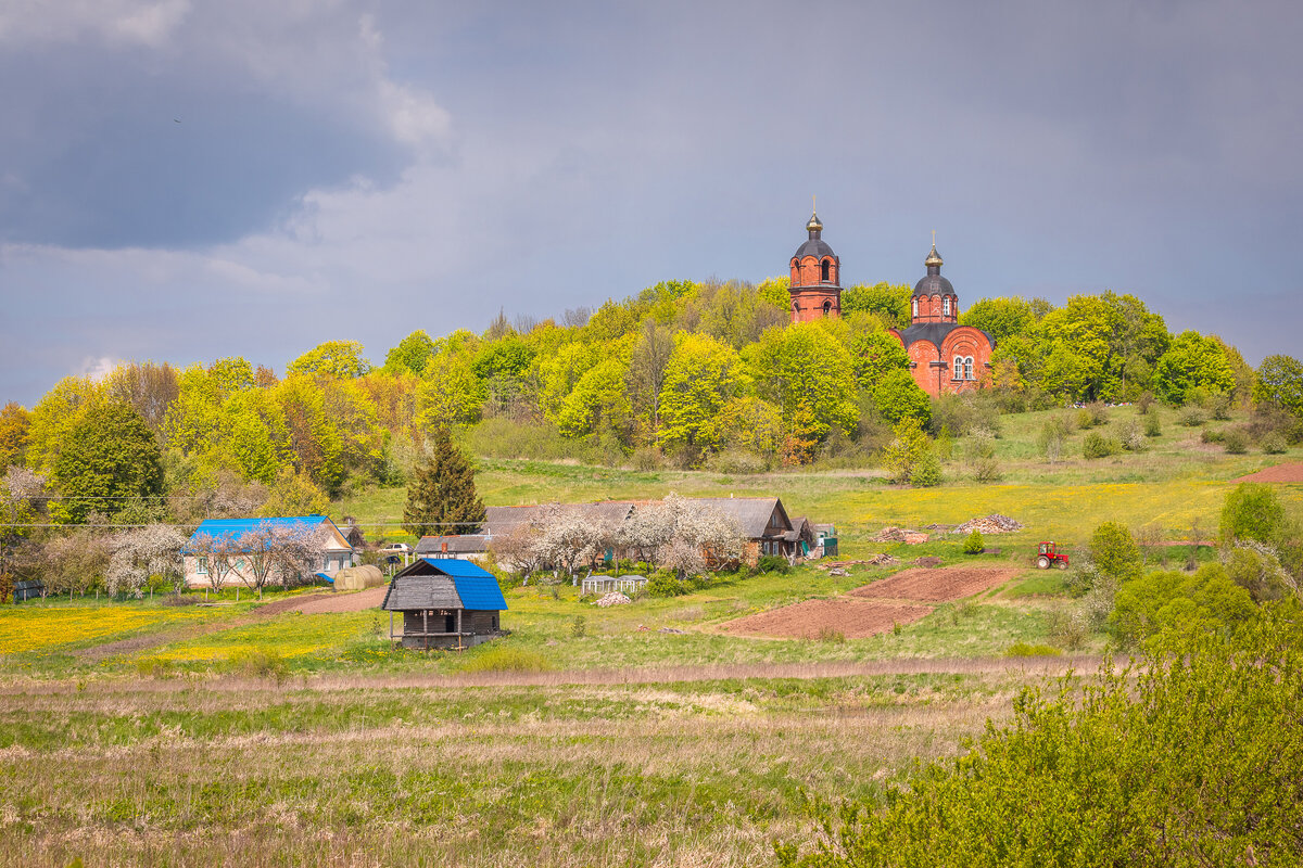**** - Елизавета .