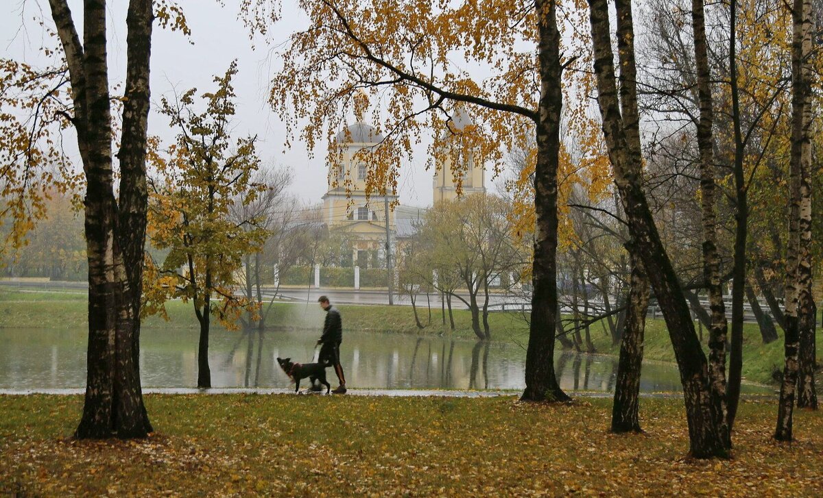 Осень - ZNatasha -