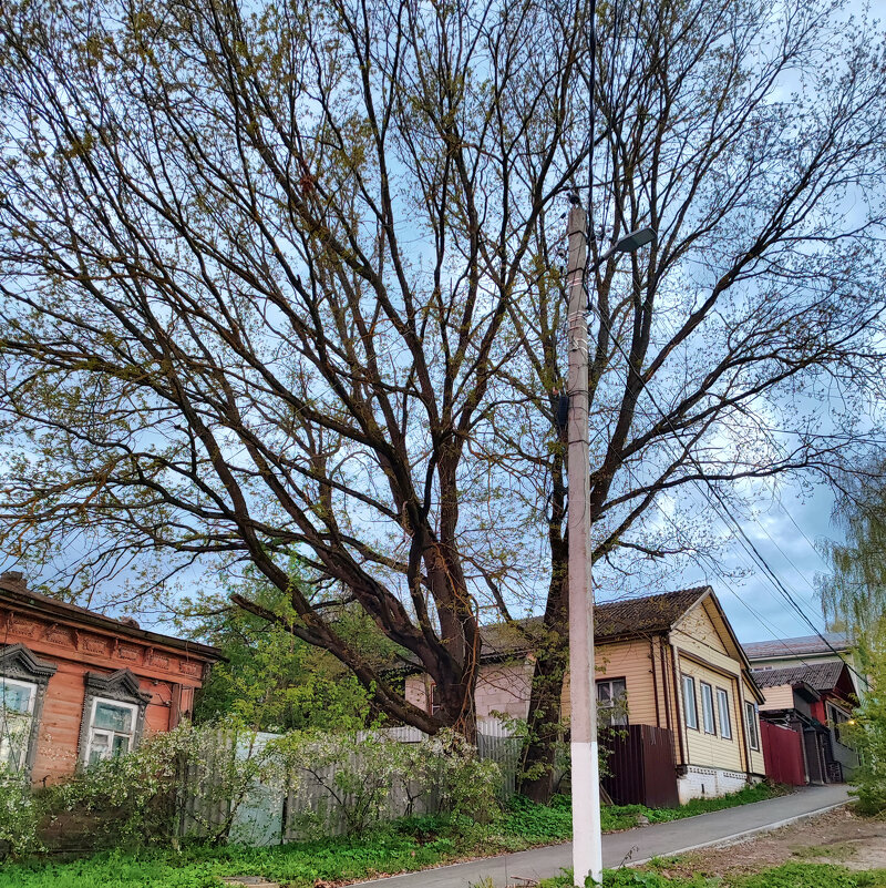 Старец - Денис Бочкарёв Старец - Денис Бочкарёв