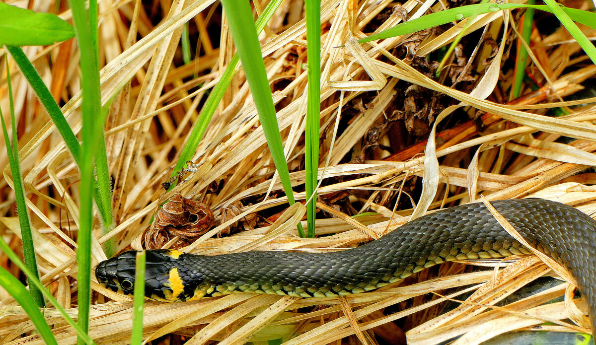 из снятого позавчера 3 - Александр Прокудин из снятого позавчера 3 - Александр Прокудин