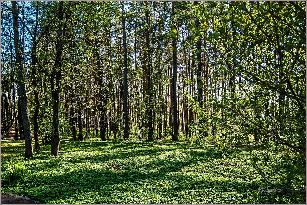 Вторая половина мая... - Aquarius - Сергей