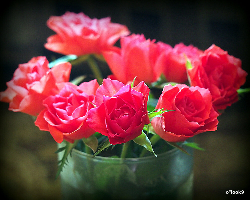 цветы для любимых - Олег Лукьянов цветы для любимых - Олег Лукьянов