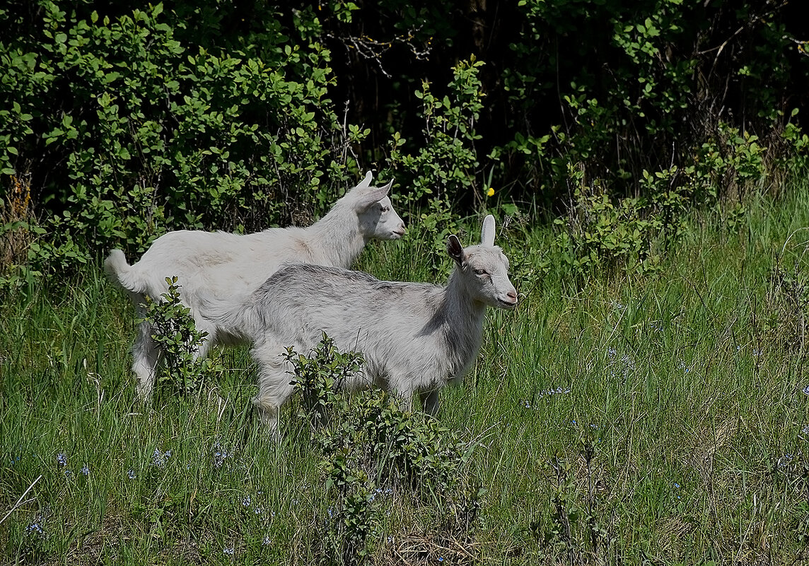 На малой родине! - Валентина Нефёдова На малой родине! - Валентина Нефёдова