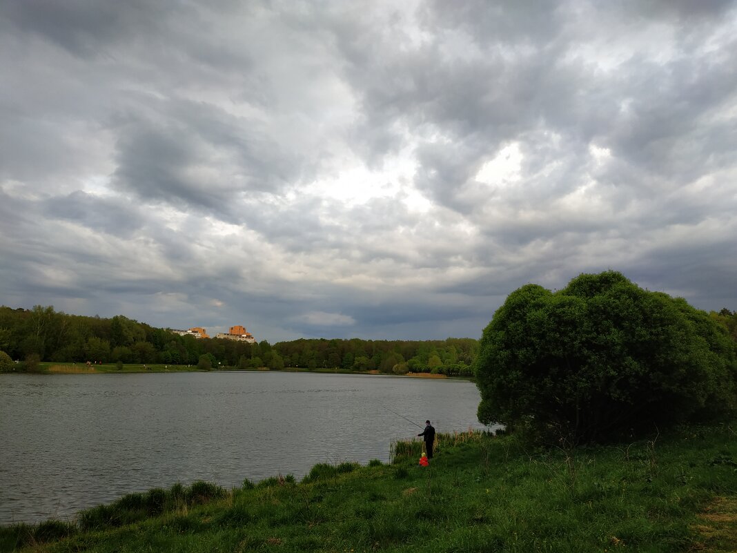 * * * - Андрей Лукьянов * * * - Андрей Лукьянов