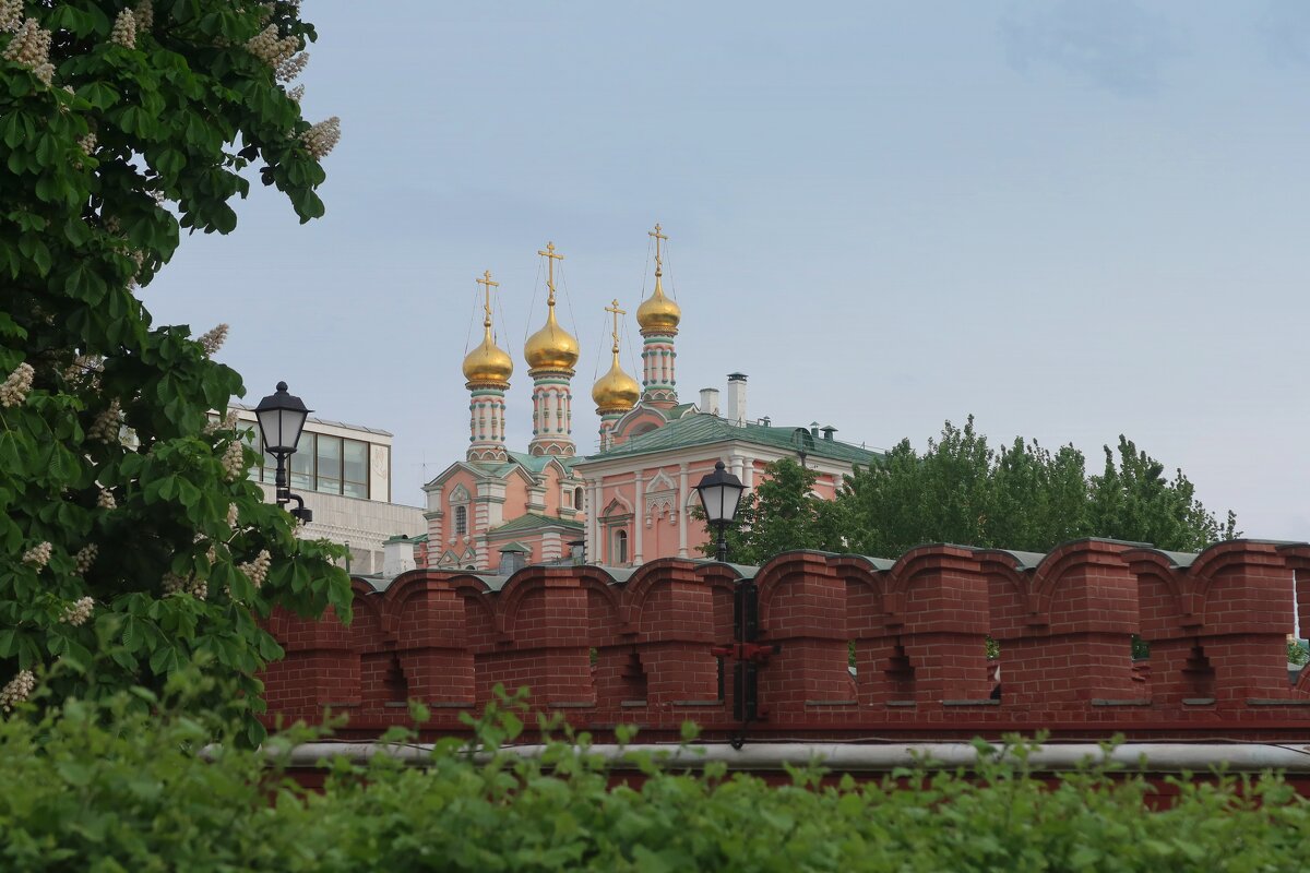 Церковь Похвалы Пресвятой Богородицы - Дмитрий И_