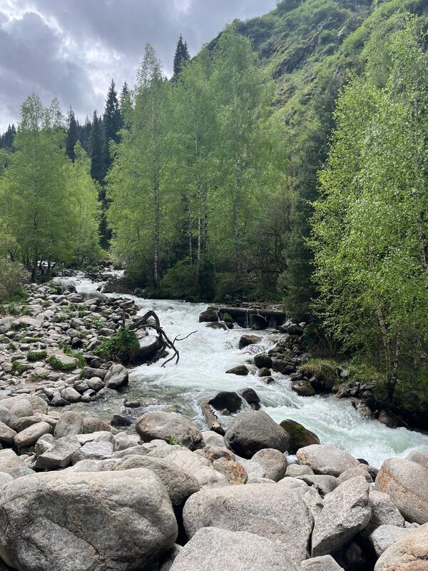Говорливая горная речка - Георгиевич 