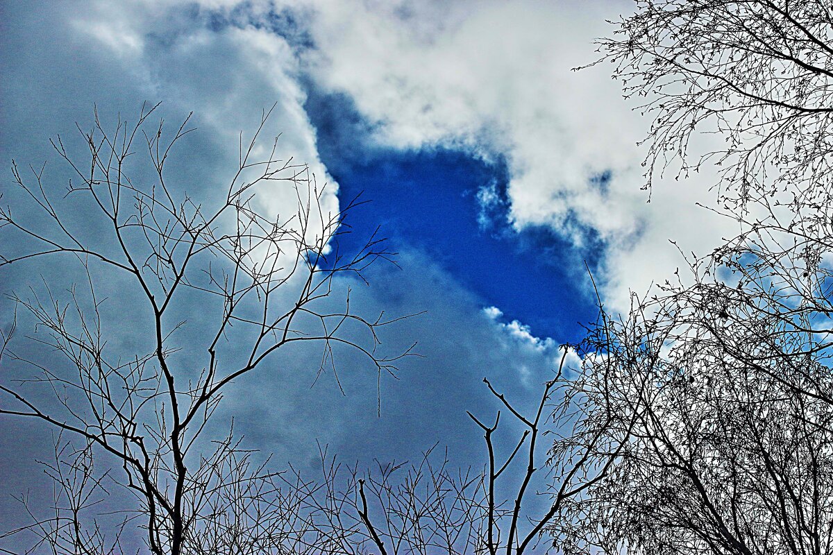 Май...Небесное окно! - Владимир 