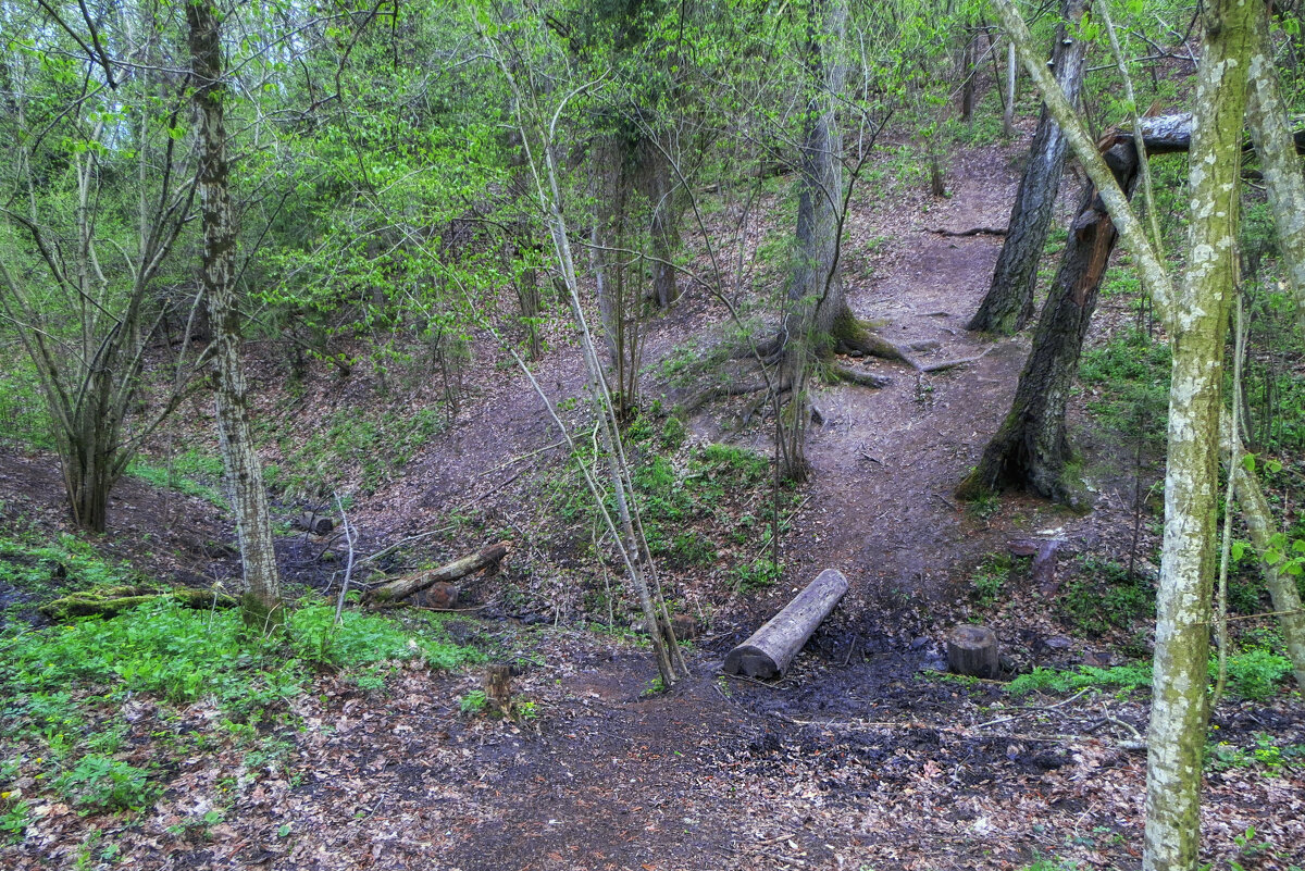 А утром снова в путь - Сергей Цветков А утром снова в путь - Сергей Цветков